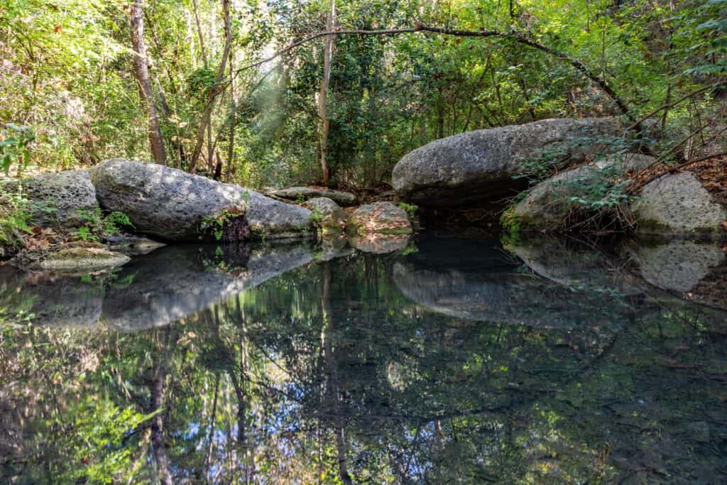 View of nature near Family Therapy and Treatment in Austin.