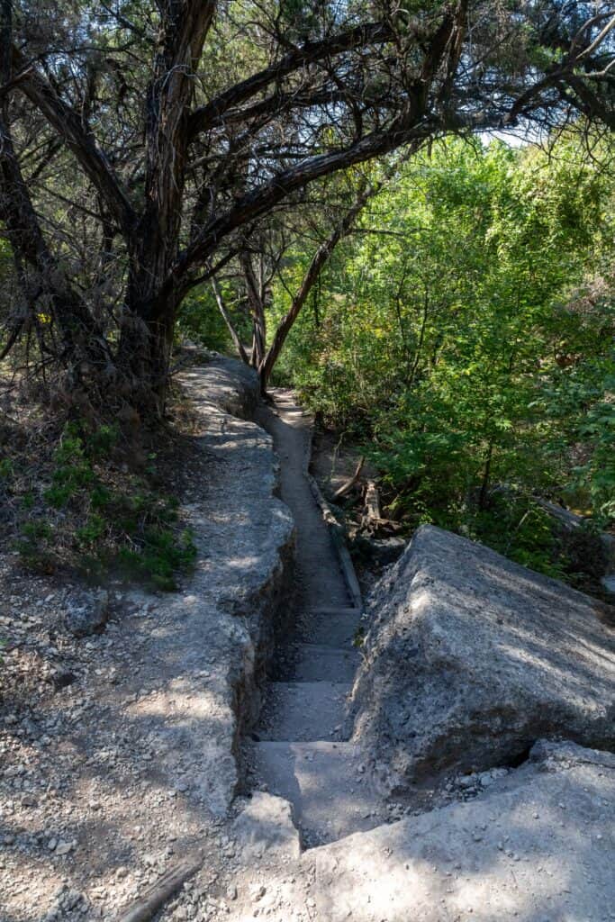 View of nature near cbt therapy austin.