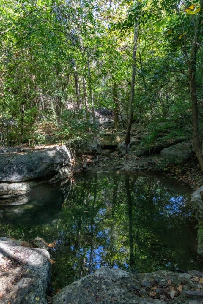 View of nature trail near dbt austin.